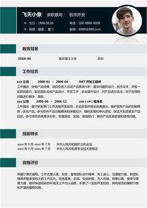 计算机软件开发与软硬件开发简历模板